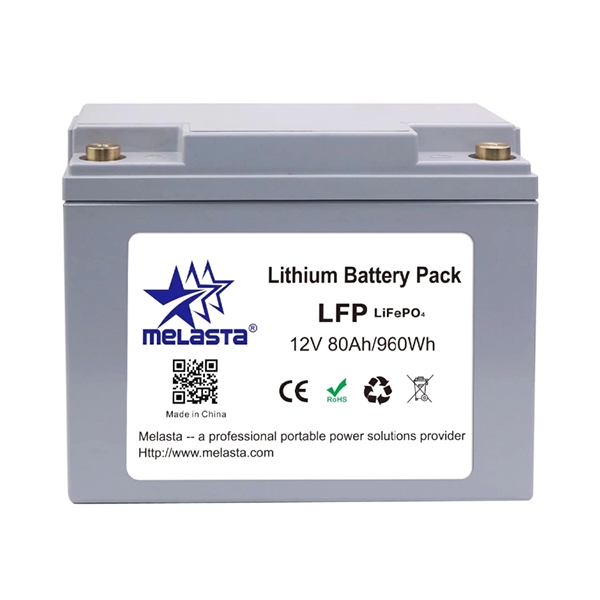 Energy Storage Battery (LiFePO4 Battery Pack)